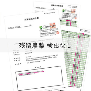 無添加 塩だけ 昔ながらの梅干し 南高梅 紀州梅香 完熟 白干し梅 訳あり つぶれ梅1kg （500gパック×2個） 塩分20% 20-G ［KU14］