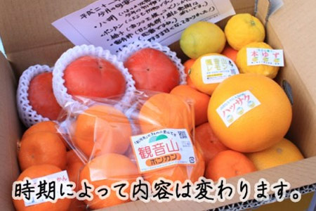 【2612-1790】観音山フルーツ詰め合わせ(シルバー)