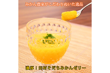 2612 1662 濃厚 田村そだちみかんゼリー 和歌山県高野町 ふるさと納税サイト ふるなび