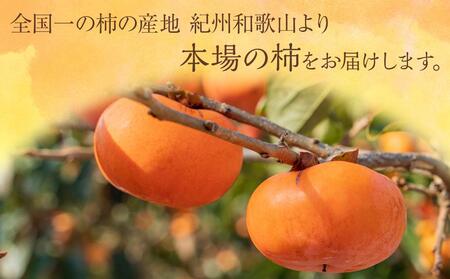 ◆先行予約◆和歌山県産 平核無柿＜ご家庭用＞約10kg【2024年10月上旬以降発送】【MG3】