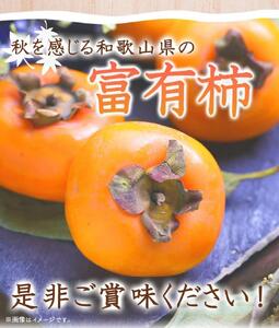 和歌山秋の味覚　富有柿　約７．５ｋｇ「2025年11月上旬以降発送予定」【UT48】柿柿柿柿柿