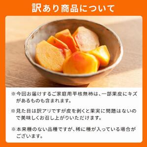 ［ご家庭用］平核無柿（ひらたねなしがき）約３.５kg 和歌山秋の味覚［2026年発送］［UT31］柿