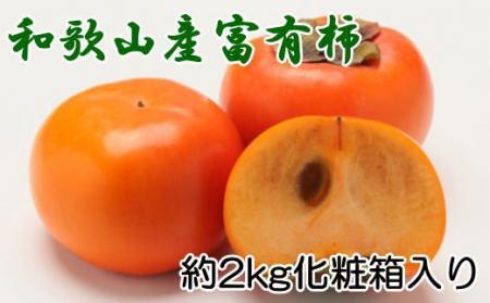 ［厳選・産直］和歌山産の富有柿約2kg（化粧箱入り）（2L～4Lサイズ）★2026年11月頃より順次発送［TM59］柿