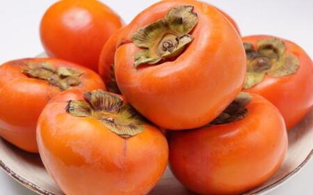 ≪柿の名産地≫九度山の富有柿約7.5kgご家庭用★2026年11月上旬頃より順次発送【TM1】柿