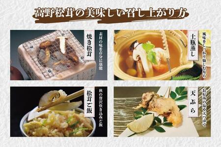国産【2026年発送分】香り・歯応え・味ともに最高級！希少な国産松茸「高野松茸」300g【化粧箱入】