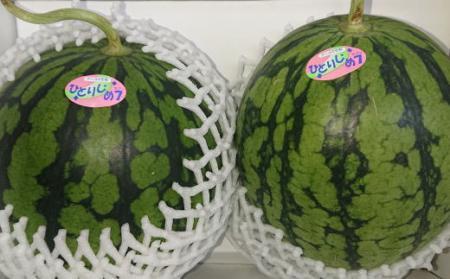 【産地直送】和歌山産小玉すいか「ひとりじめ7(セブン)」2玉入り　3.5kg以上★2026年６月下旬頃より順次発送【TM171】