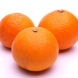 ［先行予約］厳選 清見オレンジ2.5kg+250g（傷み補償分）［光センサー食頃出荷］［樹上完熟きよみオレンジ・清見タンゴール・清美］［IKE146］