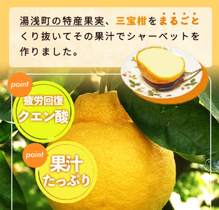 ZP6009n_【先行予約】まるごと三宝柑シャーベット 5個 セット