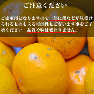 EA6033n_（訳あり 家庭用）濃厚な味わいのこだわり 有田みかん 3kg (早生みかん・大小混合)