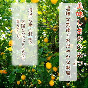 DI6052_【2024年 先行予約】和歌山県 有田産 国産レモン 1kg 訳あり