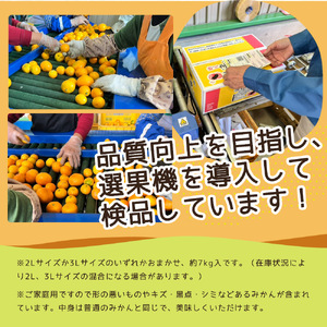 ZJ6084_ご家庭用　和歌山有田みかん 約5kg (2L、3Lサイズいずれか)【湯浅町】