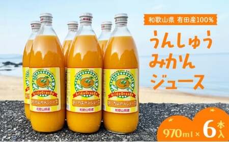 ZJ6060n_和歌山有田産100% うんしゅうみかんジュース 970ml × 6本セット