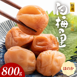 SF2001_特選紀州南高梅「白梅の里」ほのか　800ｇ
