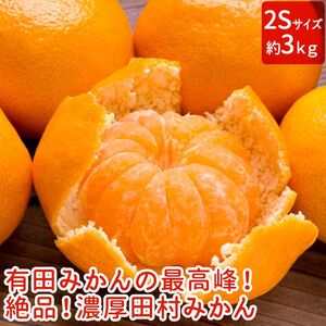 AB6307_【和歌山特産品】【プレミアムブランド】絶品! 田村みかん 3kg (2Sサイズ)