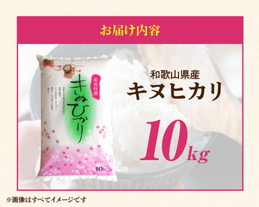 BB6221_和歌山県産キヌヒカリ 10kg