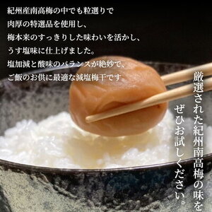 SF2008_特選紀州南高梅「白梅の里」うす塩味　430ｇ