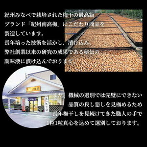 SF2020_紀州南高梅　うす塩味　家庭用Ｂ級　600ｇ