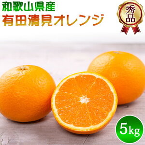 DZ6031n_有田 清見 オレンジ 秀品 S～2Lサイズ 大きさお任せ 約5kg