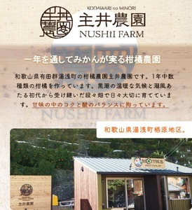 ZS6159_主井農園 高級 カラマンダリン 2kg サイズ混合