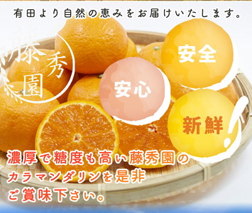 ZT6402_【2026年先行予約】カラマンダリン 秀優 3kg 2S～2Lサイ