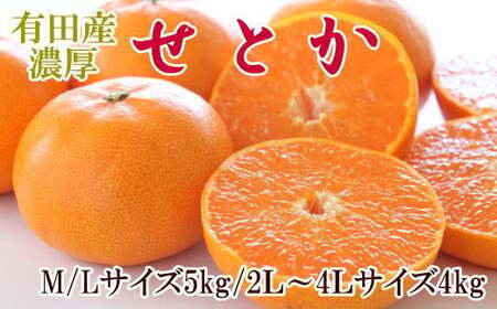 ZD7002_一度は食べていただきたい 有田産のせとか 4～5kg（サイズおまかせ）