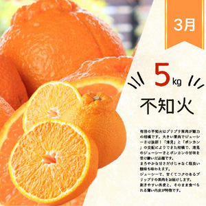 G60-T74_【定期便 全3回】紀州和歌山産旬の柑橘セット（田村みかん・はるみ・不知火）