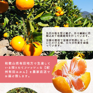 ZT6300_こだわりの 有田みかん 大玉 5kg (2L～3Lサイズ)【訳あり 家庭用】