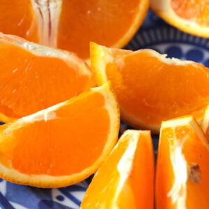 ZD7005_【2026年先行予約】【濃厚】有田産清見オレンジ約5kg（サイズおまかせ・青秀以上）