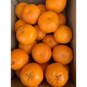 BF6047n_(2026年先行受付)せとか 家庭用 3kg М~2Lサイズ 混合