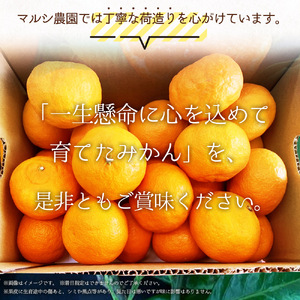 BF6047n_(2026年先行受付)せとか 家庭用 3kg М~2Lサイズ 混合