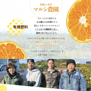 BF6048n_（2026年先行受付）完熟 せとか 赤秀 特選品 9～15玉 化粧箱