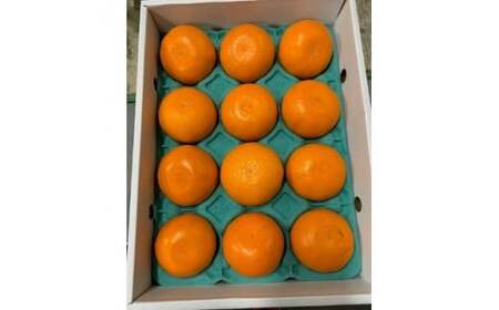 BF6049n_（2026年先行受付）完熟 せとか 青秀品 9～15玉 化粧箱