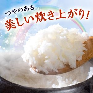 BB6224_和歌山県産 にじのきらめき 10kg(2025年産)