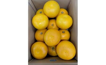 BF6068_(2026年先行受付)はっさく 赤秀品2L、3Lサイズ 5kg