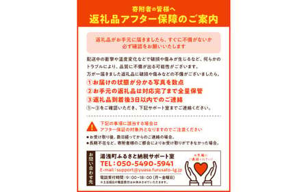 BF6068_(2026年先行受付)はっさく 赤秀品2L、3Lサイズ 5kg