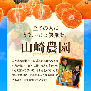 YA1001_完熟 アルギット みかん 3kg M~L サイズ