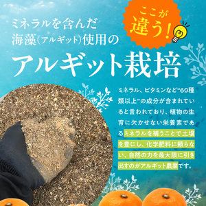 YA1002_完熟 アルギット みかん 5kg S~M サイズ 年内発送