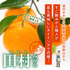V7453_【2026年先行予約】田村みかん／4kg秀品 【サイズ指定なし】