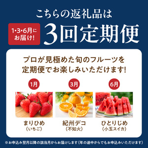 G60-T82_【定期便　全3回】魚鶴商店　旬のフルーツ定期便