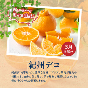 G60-T82_【定期便　全3回】魚鶴商店　旬のフルーツ定期便