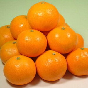 V7443_田村みかん/特選ギフト品10kg【Mサイズ】赤秀