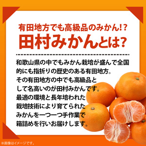 AB7309_ プレミアムブランド 田村みかん Sサイズ 秀品 約5kg _ 和歌山県産 小玉 小さい 蜜柑 ミカン フルーツ 果物 ギフト お歳暮 完熟