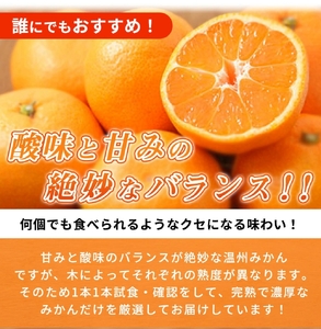 G7343_【2026年11月下旬より発送】秀品 有田みかん 2kg 2S~Lサイズのいずれか