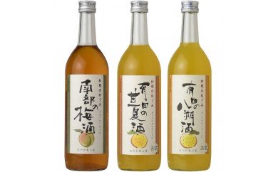 V6142_和歌のめぐみ酒【B】セット 720ml瓶 3種(A002)