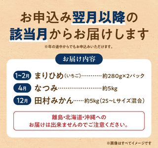 G60-T76_【定期便 全3回】紀州和歌山産旬のフルーツ定期便（田村みかん、いちご、なつみ）