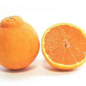 ZJ6094_【2026年先行予約】不知火(しらぬい) オレンジ みかん 家庭用 4kg