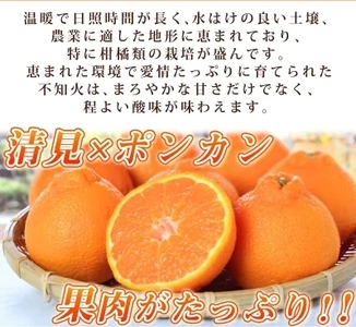 G7357_【2026年先行予約】紀州有田産 不知火 (しらぬい)【家庭用 訳あり】3kg デコポン フルーツ デザート 柑橘 果物 果実 みかん お取り寄せ 和歌山県 湯浅町 送料無料