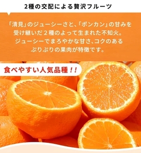 G7357_【2026年先行予約】紀州有田産 不知火 (しらぬい)【家庭用 訳あり】3kg デコポン フルーツ デザート 柑橘 果物 果実 みかん お取り寄せ 和歌山県 湯浅町 送料無料