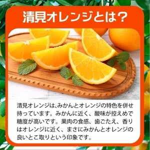 G7329_【2026年先行予約】紀州有田産 清見 オレンジ 5kg【家庭用 訳あり】タンゴール みかん 柑橘 フルーツ 果物 デザート 果実 お取り寄せ 和歌山県 湯浅町 有田 送料無料