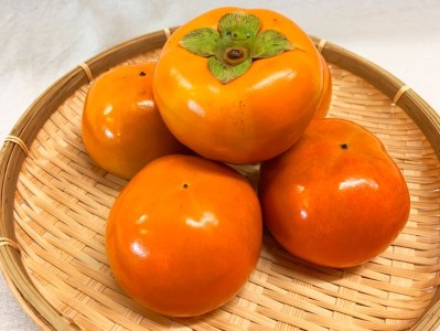 和歌山秋の味覚 富有柿 約7.5kg 【魚鶴商店】